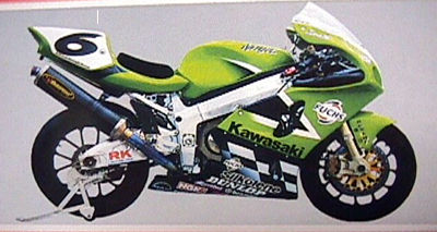 1/9 KAWASAKI SBK 2001 DRIVER YANAGAW